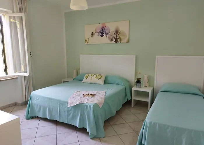 Bambu Marciana (Isola d'Elba)